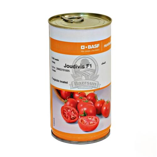 بذر گوجه فرنگی جودیویس محصول شرکت نانهمز هلند