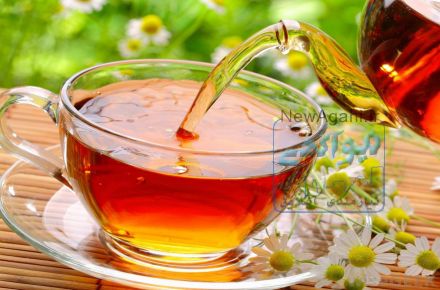 چای نوژین: تولید و توزیع و صادرات انواع چای و دمنوش طبیعی و ارگانیک، 