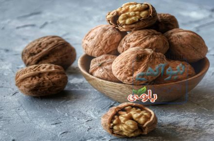 فروش عمده انواع گردو ومغزگردوی آذرشهر درآذراکسپو