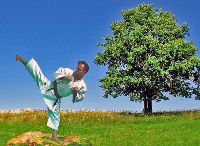آموزش کاراته سبک شوتوکان