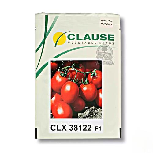بذر گوجه فرنگی CLX 38122 محصول کمپانی کلوز فرانسه