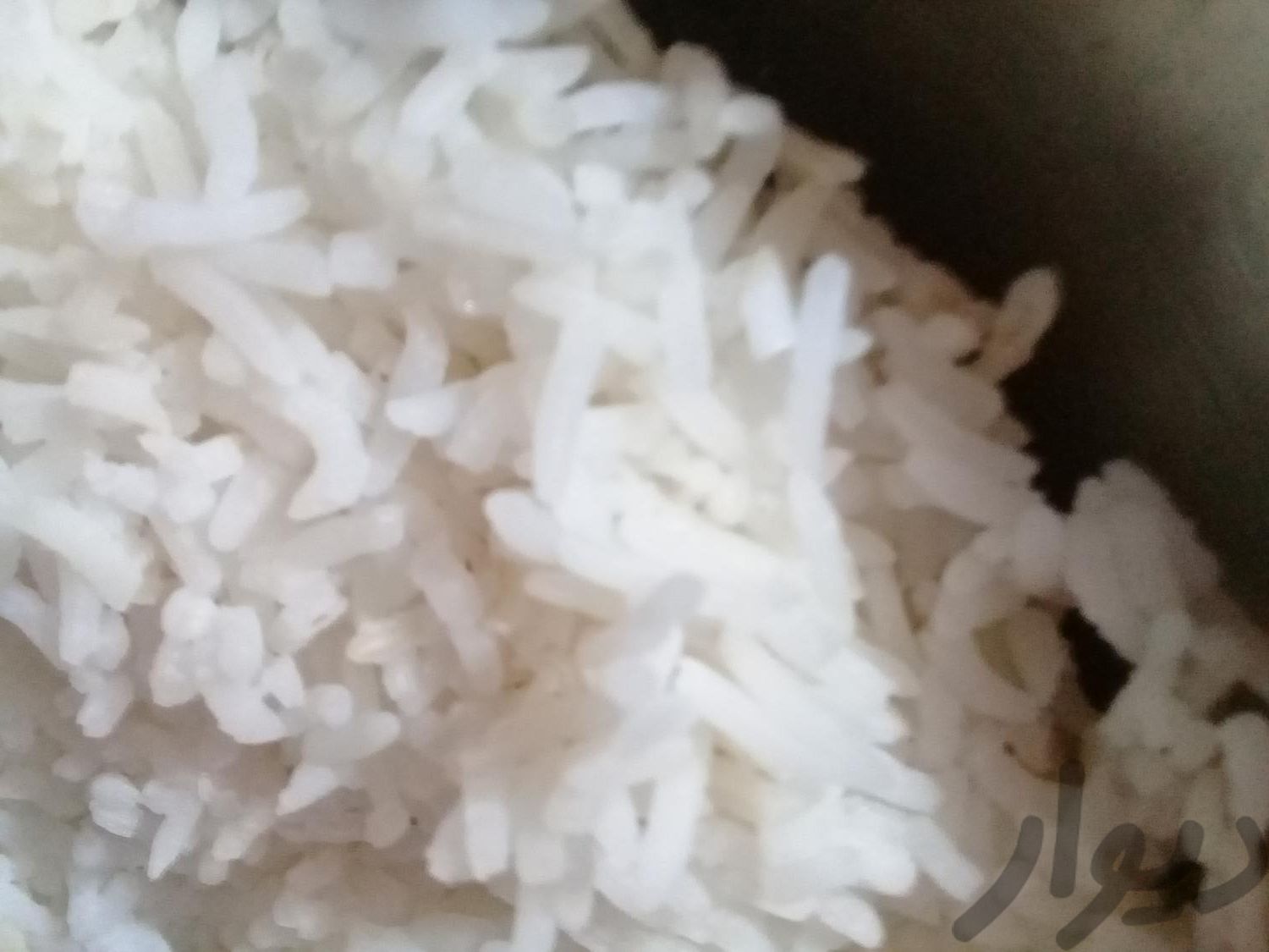 برنج هاشمی درجه یک رستورانی
