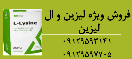 فروش لیزین