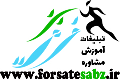 تبلیغات هدفمند و حرفه ای