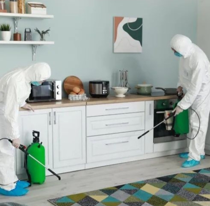 شرکت سمپاشی ساس، سوسک، موش، کنه، کک در تهران و کرج