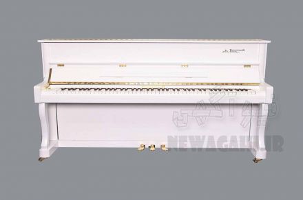 فروش ویژه پیانو آکوستیک برگمولر مدل  UP118-WHM  با اقساط بدون بهره