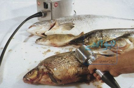 دستگاه پولک گیر ماهی