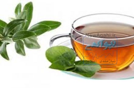 فروش انواع چای سیاه و سبز ارگانیک و طبیعی