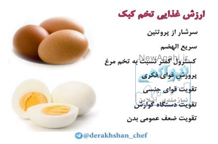 فروش تخم  خوراکی ونطفه دار کبک