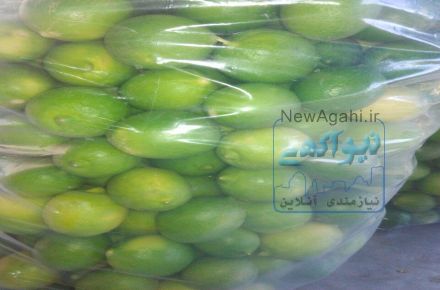 فروش عمده لیمو ترش استان فارس