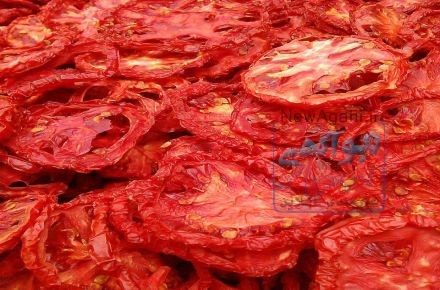 فروش عمده گوجه خشک شده و پودر گوجه 