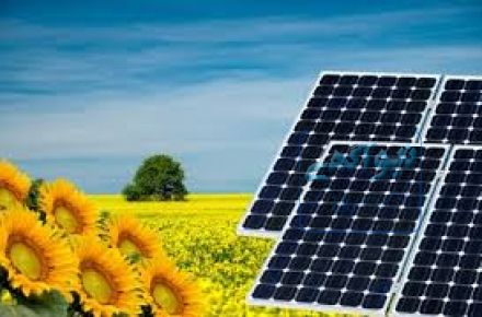 عرضه انواع پنل خورشیدی یینگلی Yingli و Trunsun Solar