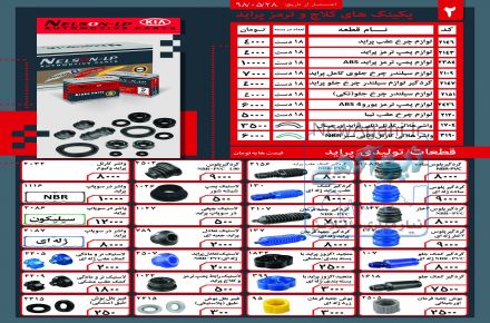 فروشگاه نلسون و دیلسون