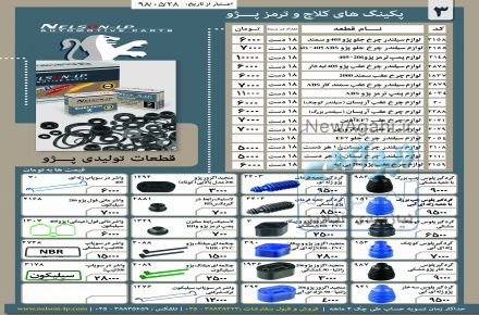 فروشگاه نلسون و دیلسون