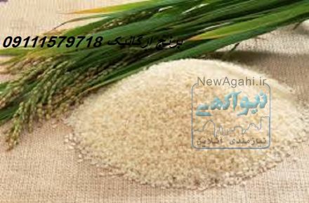 برنج ارگانیک پخش مستقیم 