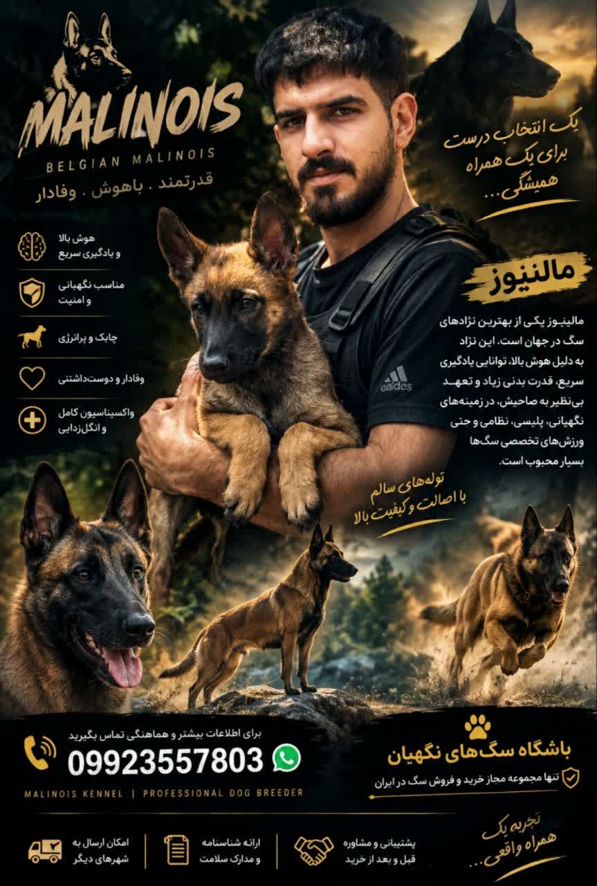 فروش مالینویز اصیل